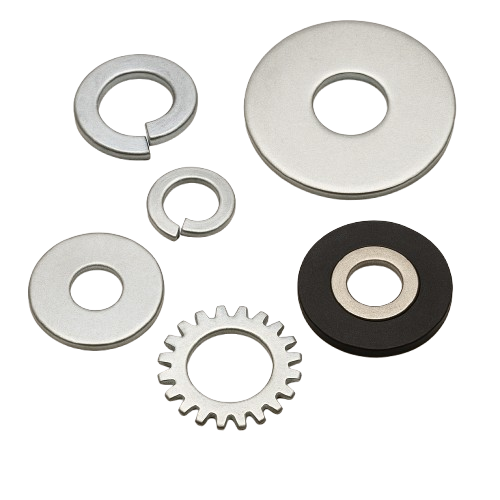 Rondelles (plates éventail )